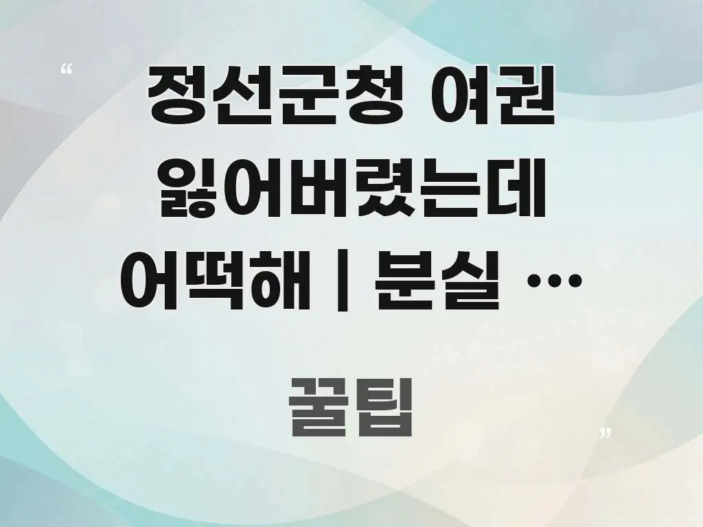 정선군청 여권 잃어버렸는데 어떡해 | 분실 후 처음 쉽게 따라할 수 있는 핵심 요약 디자인 카드 - 설명을 돕는 이미지