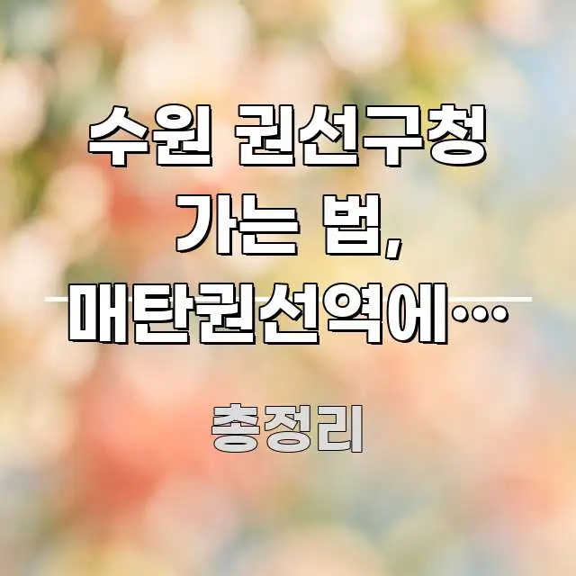 수원 권선구청 가는 법, 매탄권선역에서 도보 10분 전문적으로 분석한 블로그 헤더 이미지 - 본문 내용과 연관된 이미지