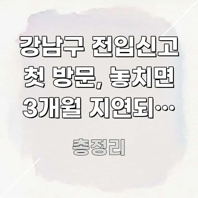 강남구 전입신고 첫 방문, 놓치면 3개월 지연되는 핵심 한 번에 이해되는 정보 카드 디자인 이미지 - 활용 예시 이미지