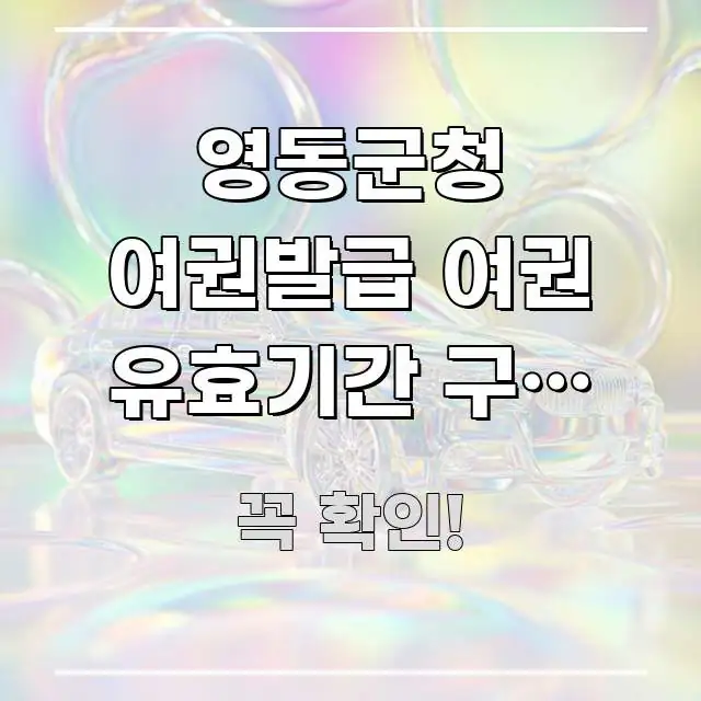 영동군청 여권발급 여권 유효기간 구글 캘린더 등록 | 핵심 내용을 정리한 깔끔한 인포그래픽 표지