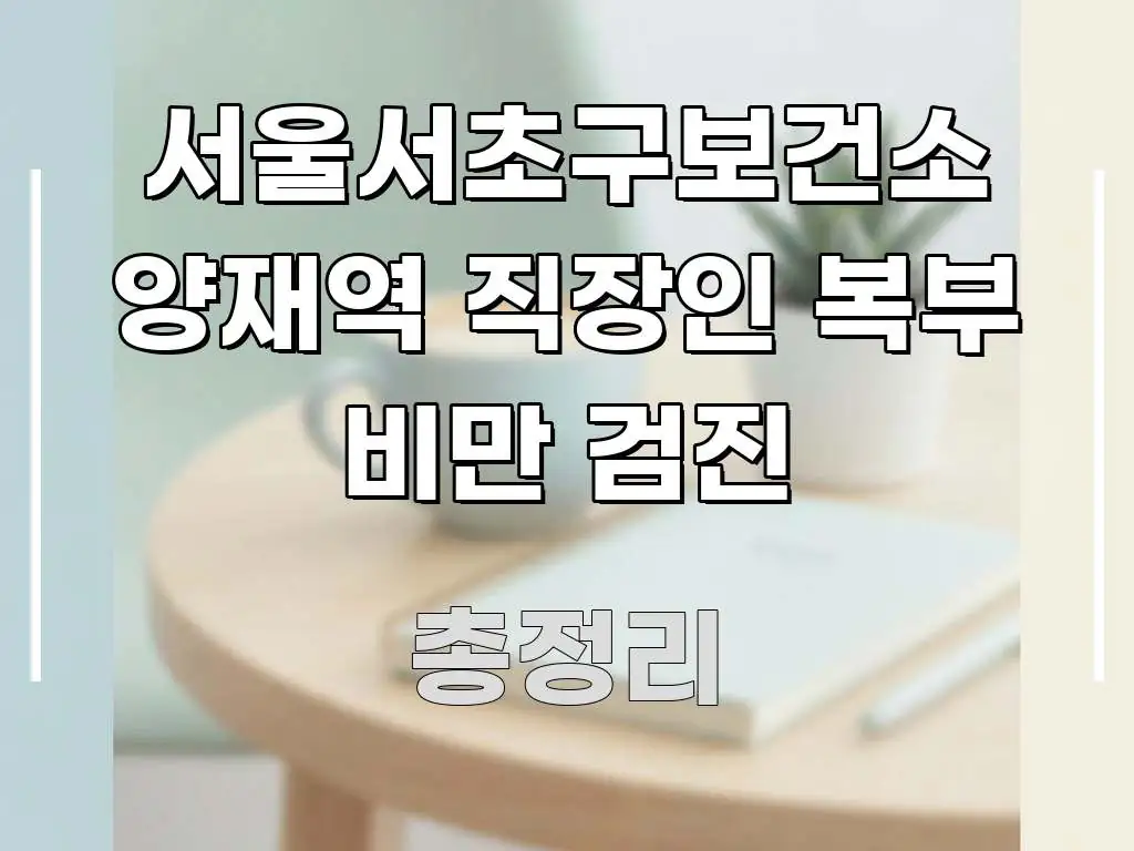 서울서초구보건소 양재역 직장인 복부 비만 검진 한눈에 들어오는 카드뉴스 스타일 이미지 - 가독성을 높이는 이미지
