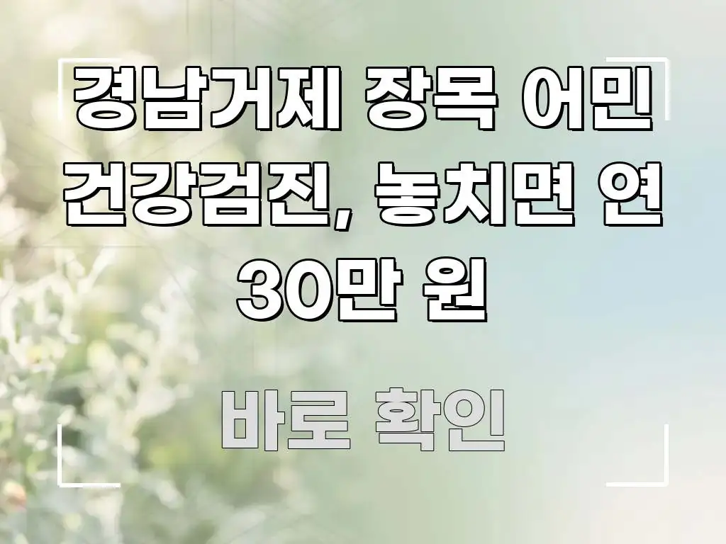 경남거제 장목 어민 건강검진, 놓치면 연 30만 원 쉽게 따라할 수 있는 핵심 정보 비주얼 - 설명을 돕는 이미지