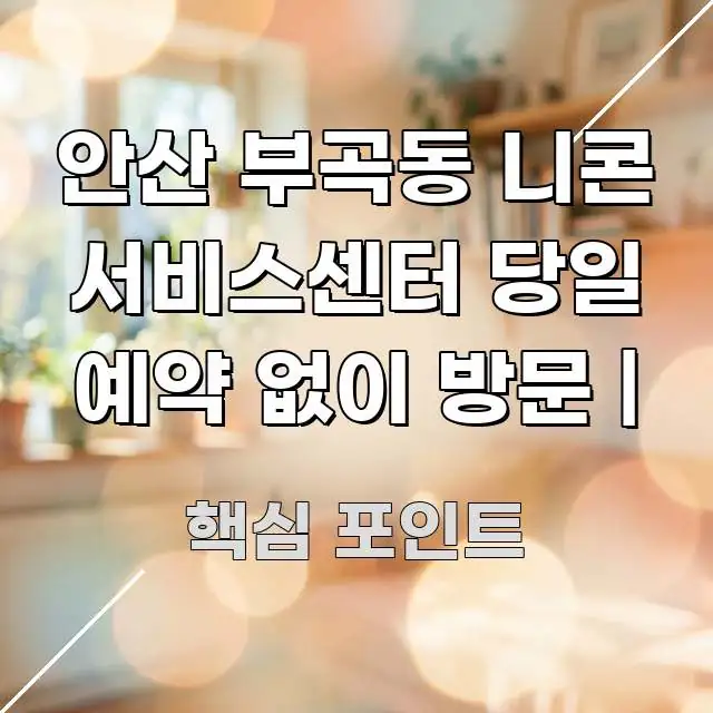 안산 부곡동 니콘 서비스센터 당일 예약 없이 방문 | 바로 활용 가능한 깔끔한 인포그래픽 표지