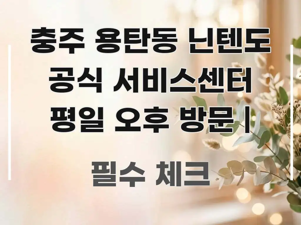 충주 용탄동 닌텐도 공식 서비스센터 평일 오후 방문 | 스마트하게 정리된 미니멀 블로그 썸네일