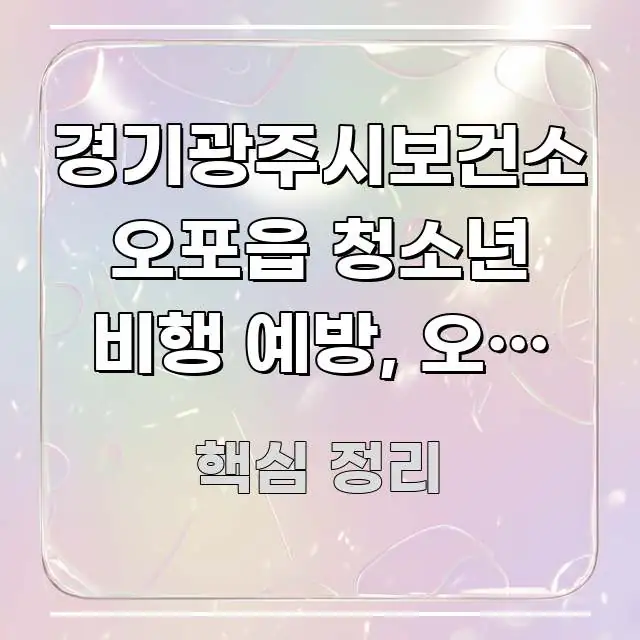 경기광주시보건소 오포읍 청소년 비행 예방, 오포 청소년 핵심 키워드 중심의 정보 요약 인포그래픽 이미지