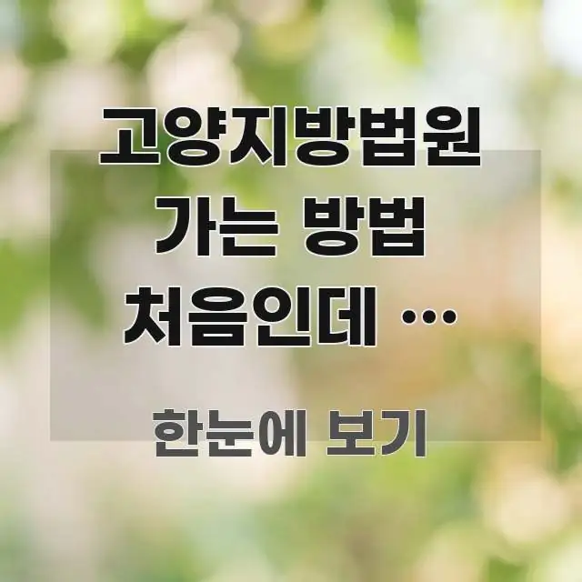 고양지방법원 가는 방법 처음인데 | 행신역에서 버스로 바로 활용 가능한 정보 요약 인포그래픽 이미지 - 설명을 돕는 이미지
