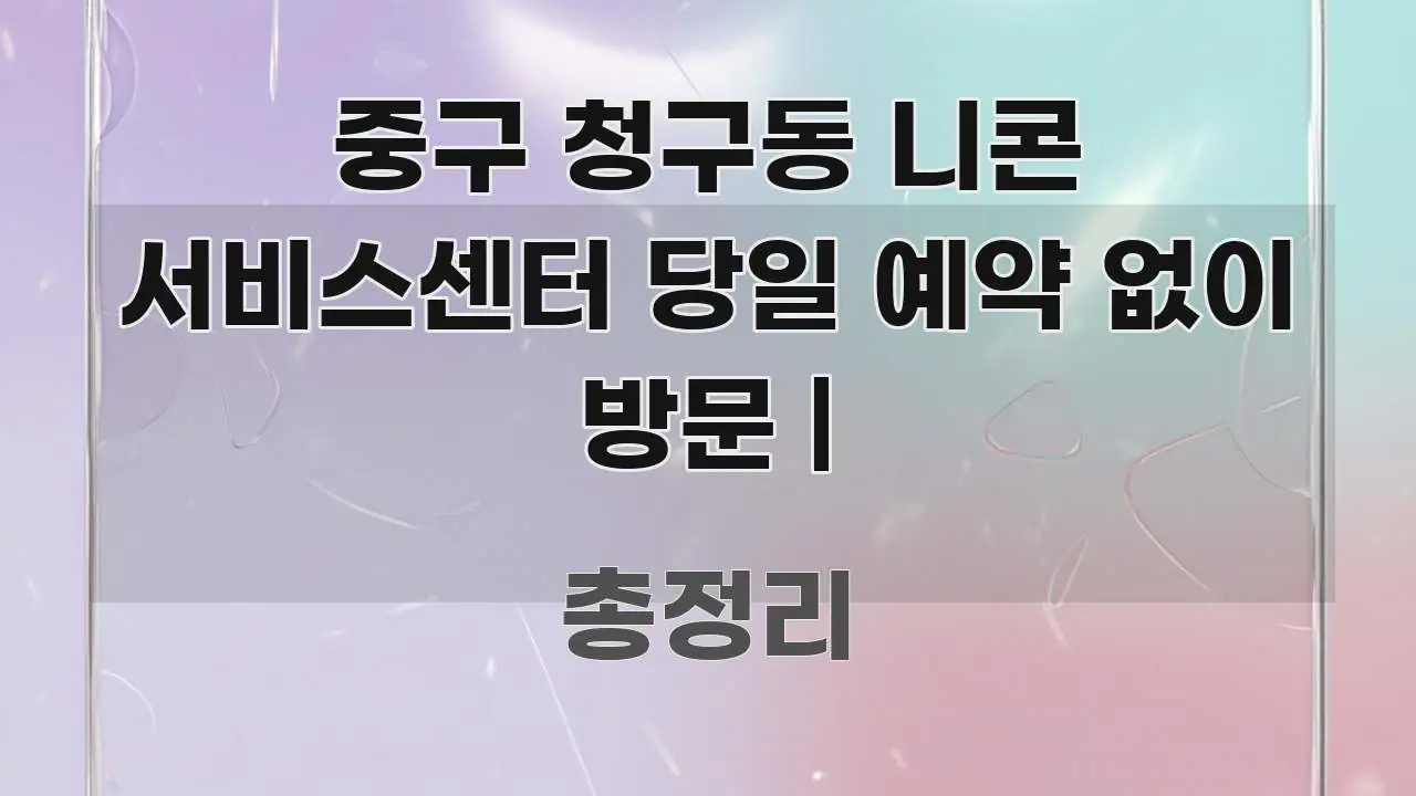 중구 청구동 니콘 서비스센터 당일 예약 없이 방문 | 가독성 높게 정리한 정보 요약 포스터 - 글 흐름을 돕는 시각 자료