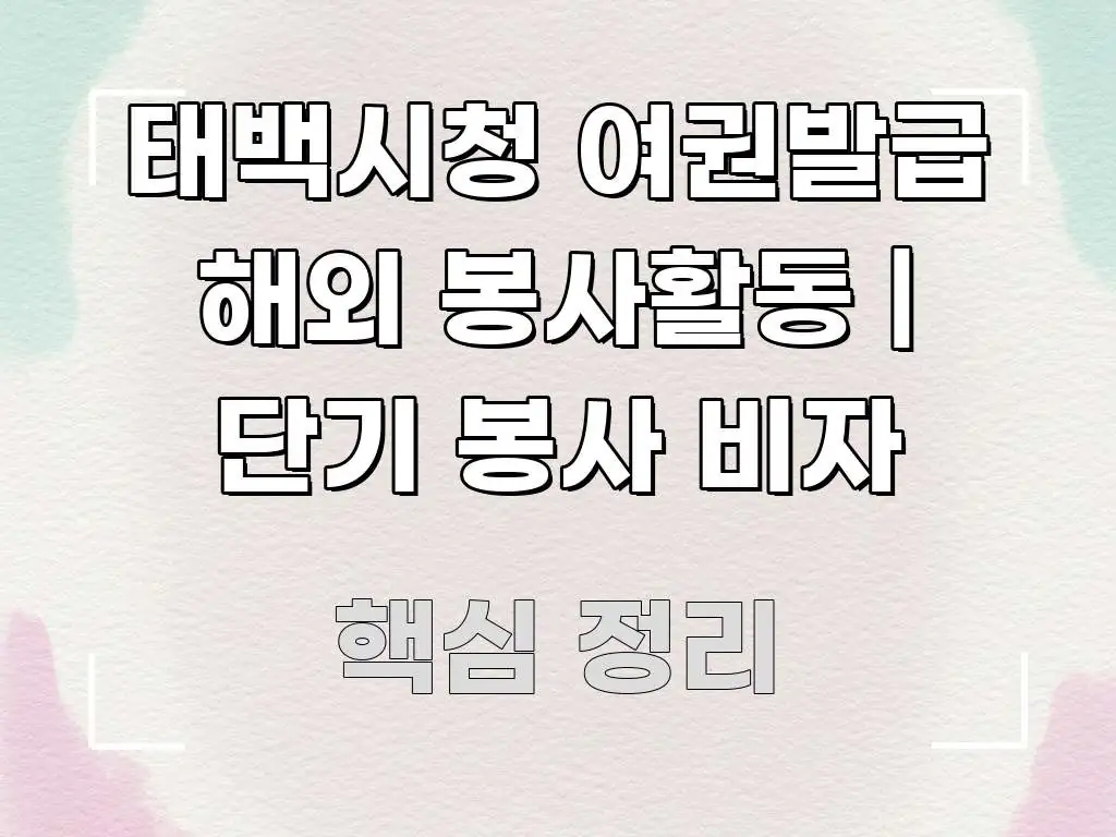 태백시청 여권발급 해외 봉사활동 | 단기 봉사 비자 중요 내용만 뽑은 미니멀 블로그 썸네일 - 참고용 이미지