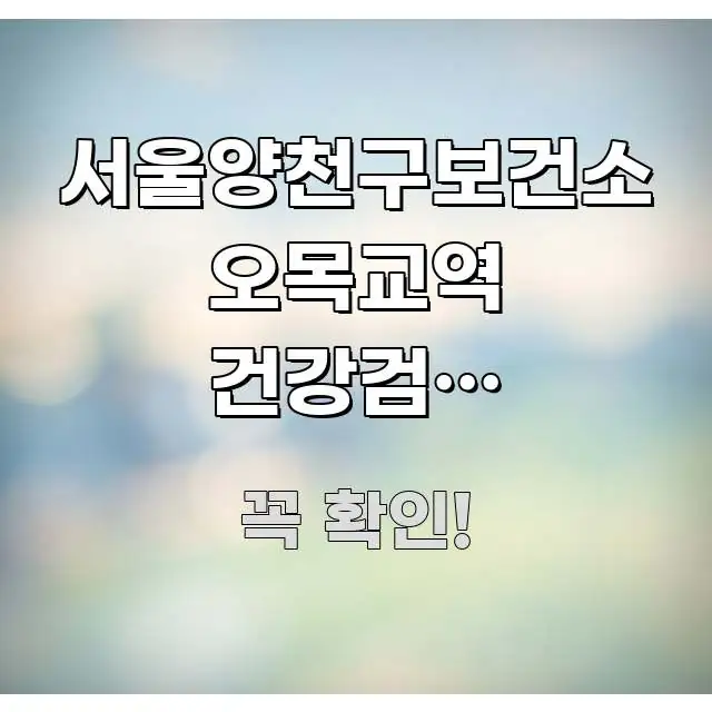 서울양천구보건소 오목교역 건강검진 예약부터 방문까지 주요 흐름을 설명한 텍스트 기반 블로그 이미지 - 내용 요약을 위한 이미지