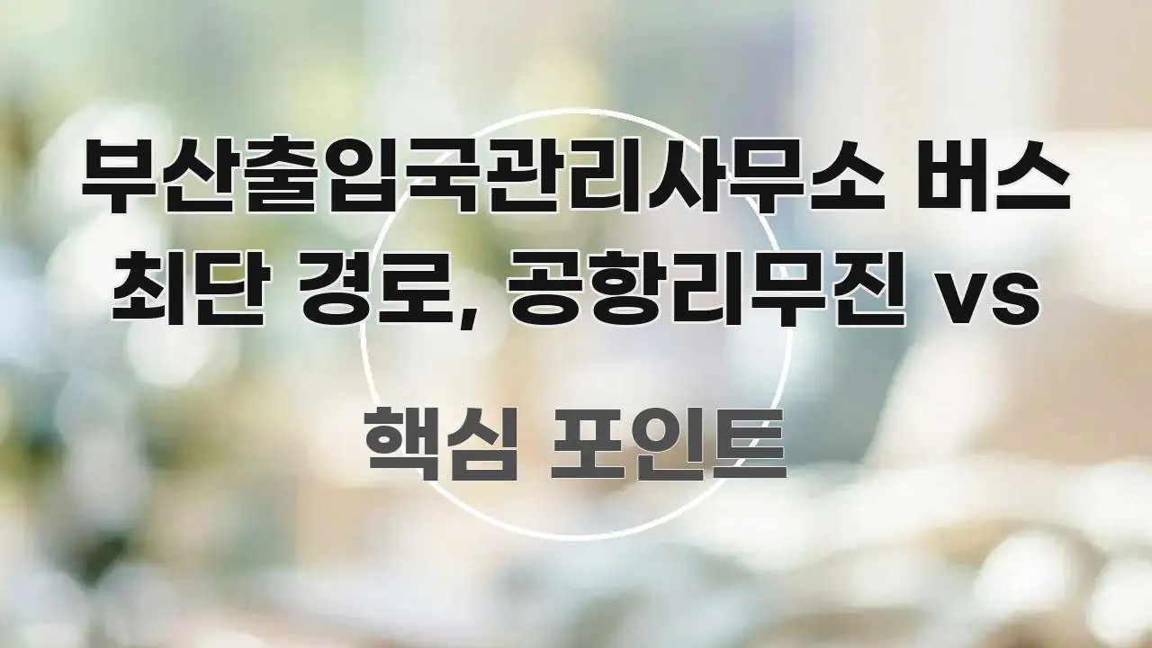 부산출입국관리사무소 버스 최단 경로, 공항리무진 vs 시선을 사로잡는 정보 카드 디자인 이미지 - 본문 내용과 연관된 이미지