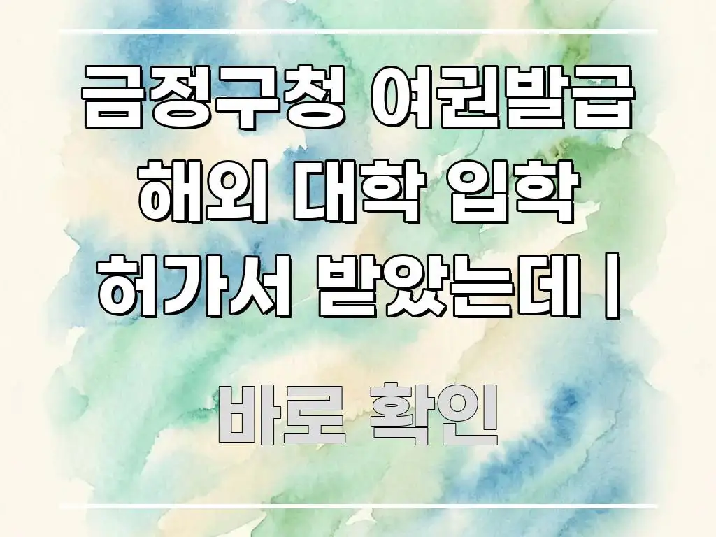 금정구청 여권발급 해외 대학 입학 허가서 받았는데 | 효율적으로 구성된 카드뉴스 스타일 이미지 - 글 흐름을 돕는 시각 자료