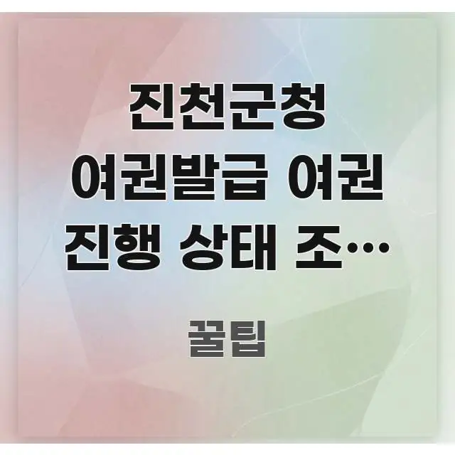 진천군청 여권발급 여권 진행 상태 조회 사이트 | 독자를 위해 선별한 텍스트 기반 블로그 이미지 - 내용 요약을 위한 이미지