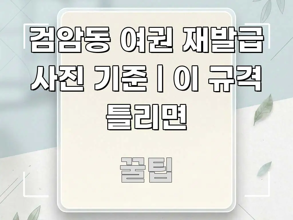 검암동 여권 재발급 사진 기준 | 이 규격 틀리면 흐름을 잡아주는 텍스트 포스터 이미지 - 가독성을 높이는 이미지