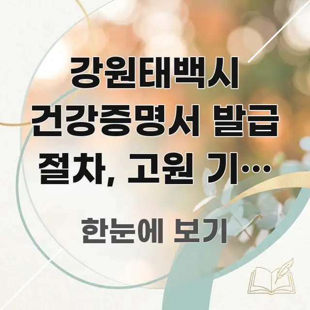 강원태백시 건강증명서 발급 절차, 고원 기압 검진 항목 핵심만 담은 정보 요약 인포그래픽 이미지 - 내용 요약을 위한 이미지