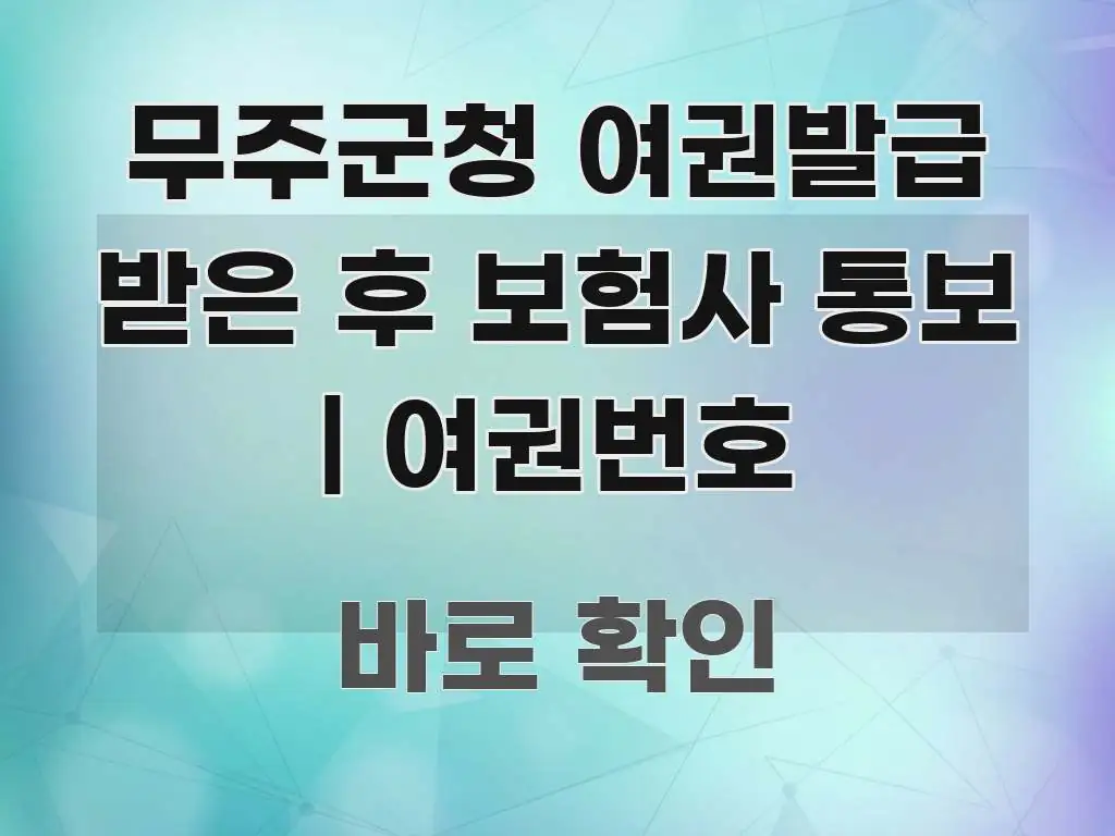 무주군청 여권발급 받은 후 보험사 통보 | 여권번호 꼭 필요한 정보만 담은 심플 타이포그래피 표지 - 글 흐름을 돕는 시각 자료
