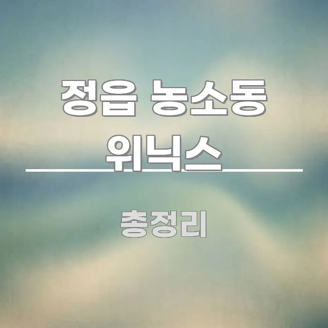 정읍 농소동 위닉스 정보 이미지 정읍 농소동 위닉스 직관적으로 이해되는 심플 타이포그래피 표지