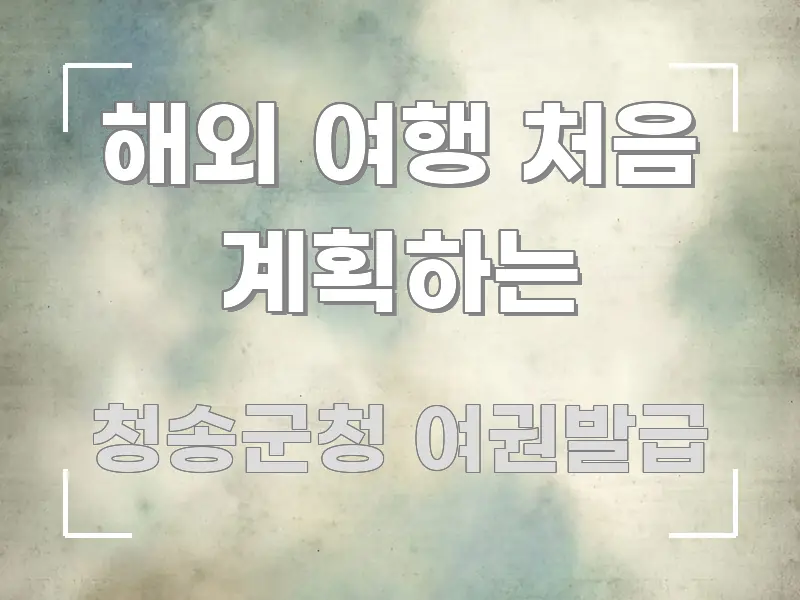 해외 여행 처음 계획하는 핵심 요약 해외 여행 처음 계획하는 핵심 요점 중심의 콘텐츠 요약 표지 이미지 - 내용 요약을 위한 이미지