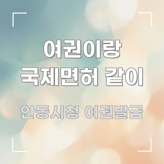 여권이랑 국제면허 같이 핵심 요점 중심의 모던 카드뉴스 디자인
