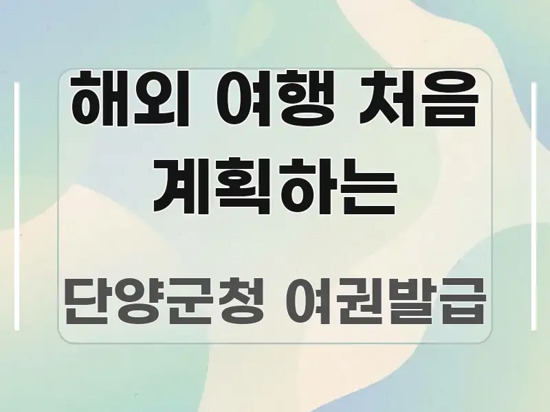 해외 여행 처음 계획하는 심플하고 명확하게 정리한 정보 요약 인포그래픽 이미지