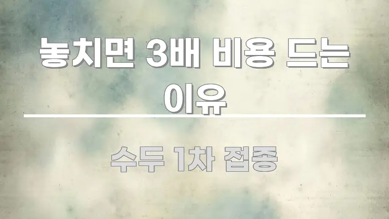 놓치면 3배 비용 드는 이유 핵심 개념을 담은 텍스트 중심 디자인 표지
