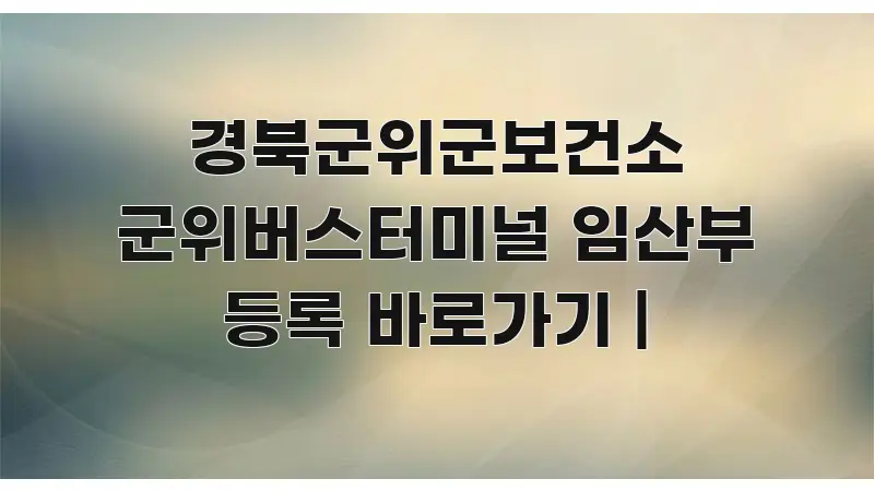 경북군위군보건소 군위버스터미널 임산부 등록 바로가기 | 한 번에 이해되는 타이포그래피 블로그 표지