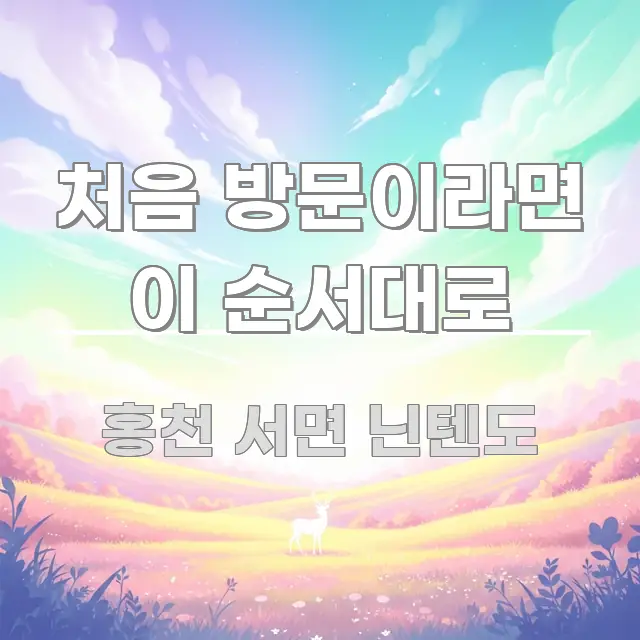 처음 방문이라면 이 순서대로 명확하게 정리된 정보 전달형 표지 이미지 - 활용 예시 이미지