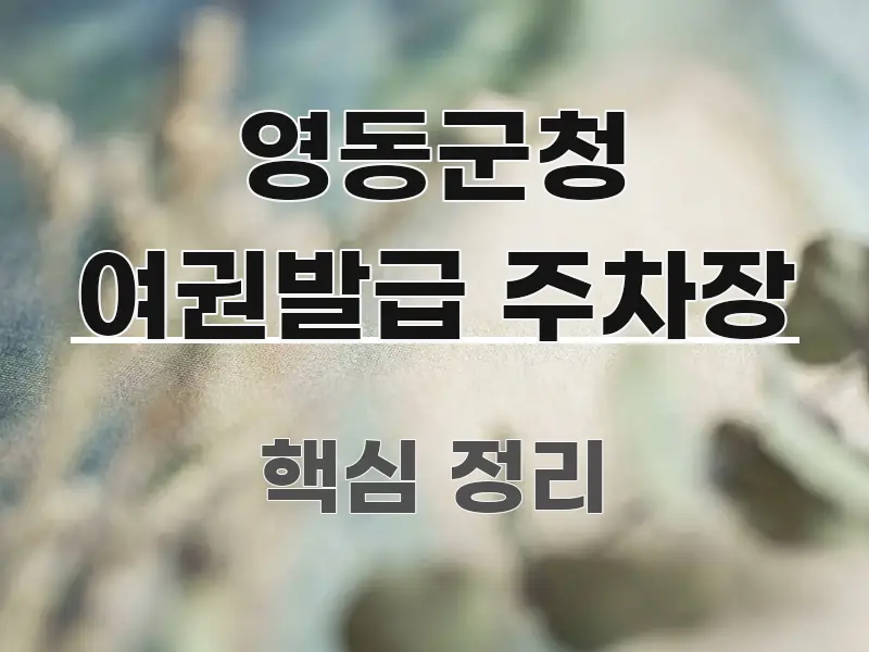 영동군청 여권발급 주차장 요점만 뽑아낸 정보 요약 포스터 - 글 흐름을 돕는 시각 자료
