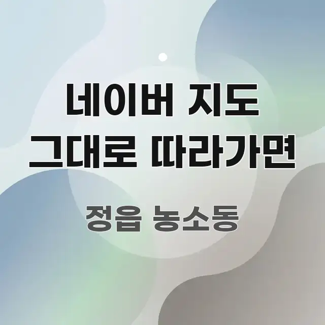 네이버 지도 그대로 따라가면 한 번에 이해되는 콘텐츠 요약 표지 이미지