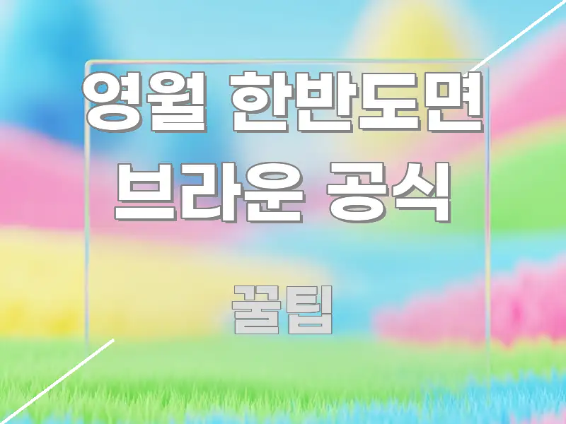 영월 한반도면 브라운 공식 명확하게 정리된 텍스트 중심 디자인 표지