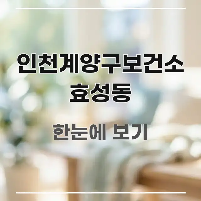 인천계양구보건소 효성동 전문적으로 분석한 정보 요약 인포그래픽 이미지 - 내용 요약을 위한 이미지