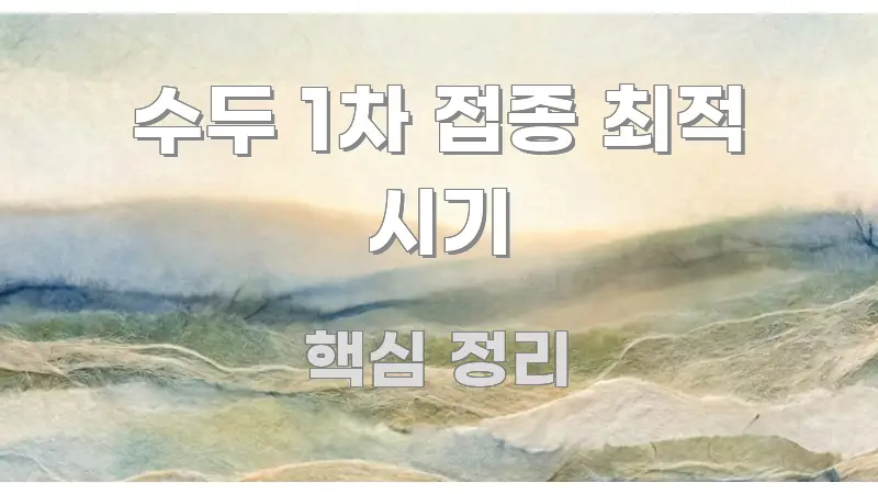 수두 1차 접종 최적 시기 가독성 높게 정리한 텍스트형 카드뉴스 표지 이미지 - 활용 예시 이미지