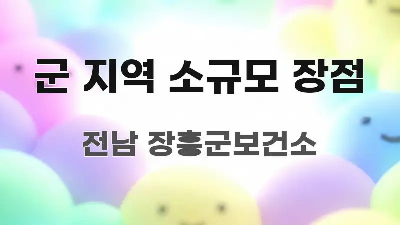 군 지역 소규모 장점 흥미롭게 구성한 콘텐츠 요약 표지 이미지 - 참고용 이미지
