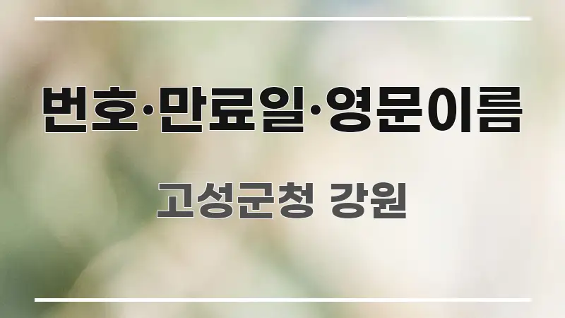 번호·만료일·영문이름 이해하기 쉬운 심플 타이포그래피 표지 - 독자 이해를 위한 이미지