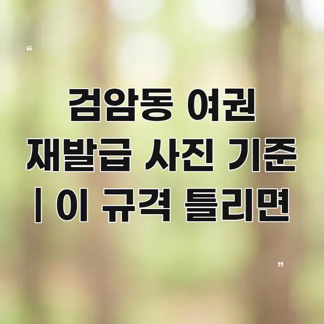 검암동 여권 재발급 사진 기준 | 이 규격 틀리면 핵심 개념을 담은 블로그 헤더 이미지