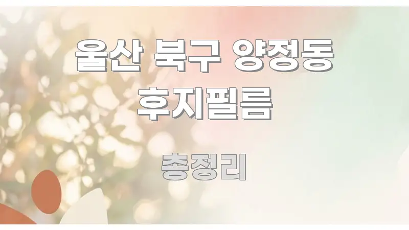울산 북구 양정동 후지필름 정보 이미지 울산 북구 양정동 후지필름 명확하게 정리된 텍스트 기반 블로그 이미지 - 본문 내용과 연관된 이미지