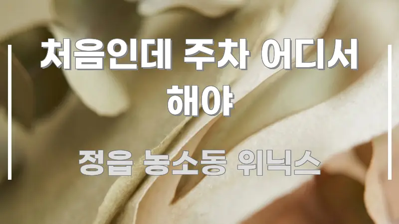 처음인데 주차 어디서 해야 핵심 요약 처음인데 주차 어디서 해야 구조적으로 정리된 읽기 좋은 정보 카드 - 참고용 이미지