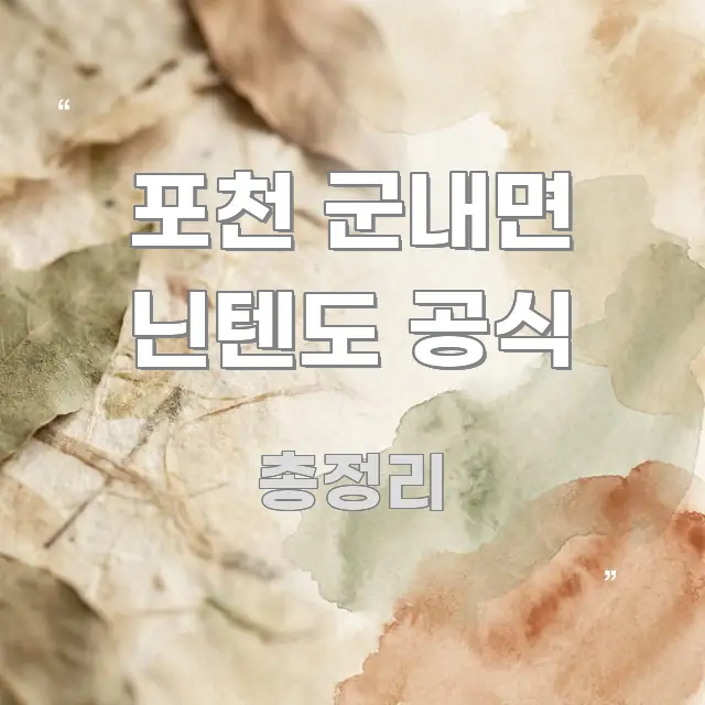 포천 군내면 닌텐도 공식 깔끔하게 정리된 정보 요약 인포그래픽 이미지 - 활용 예시 이미지