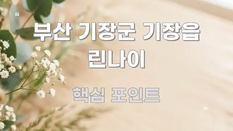 부산 기장군 기장읍 린나이 핵심 요점 중심의 스마트 정보 카드 - 설명을 돕는 이미지
