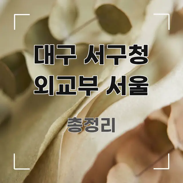 대구 서구청 외교부 서울 심플하고 명확하게 정리한 핵심 정리 썸네일 이미지 - 설명을 돕는 이미지