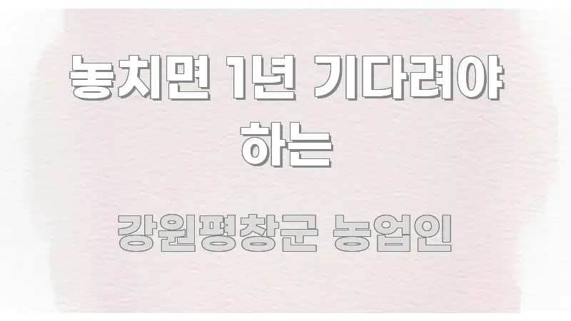 놓치면 1년 기다려야 하는 바로 활용 가능한 콘텐츠 요약 표지 이미지 - 설명을 돕는 이미지