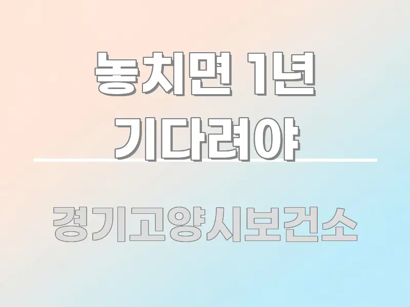 놓치면 1년 기다려야 신뢰할 수 있는 정보를 담은 블로그 섹션 구분 이미지 - 독자 이해를 위한 이미지