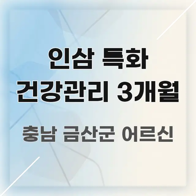 인삼 특화 건강관리 3개월 핵심 요점 중심의 블로그 포스트 커버 이미지 - 활용 예시 이미지
