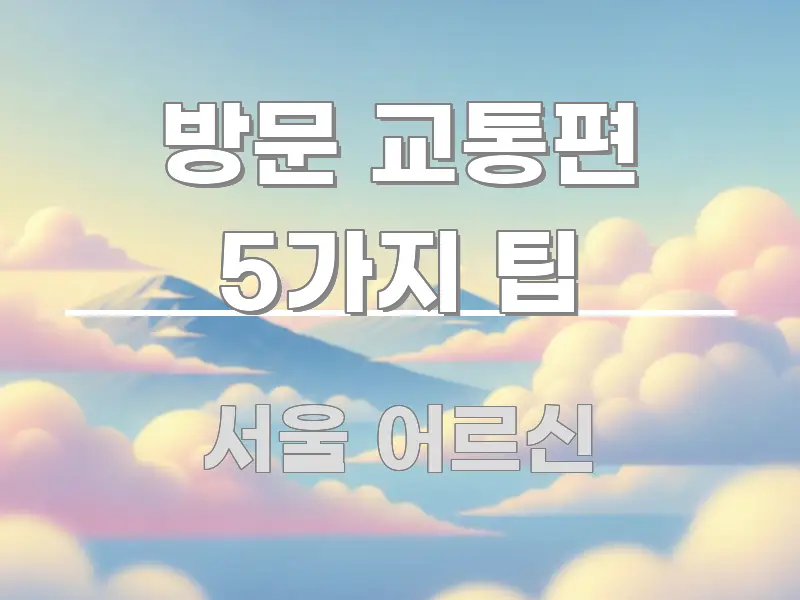 방문 교통편 5가지 팁 중요 내용만 뽑은 텍스트 포스터 이미지 - 독자 이해를 위한 이미지