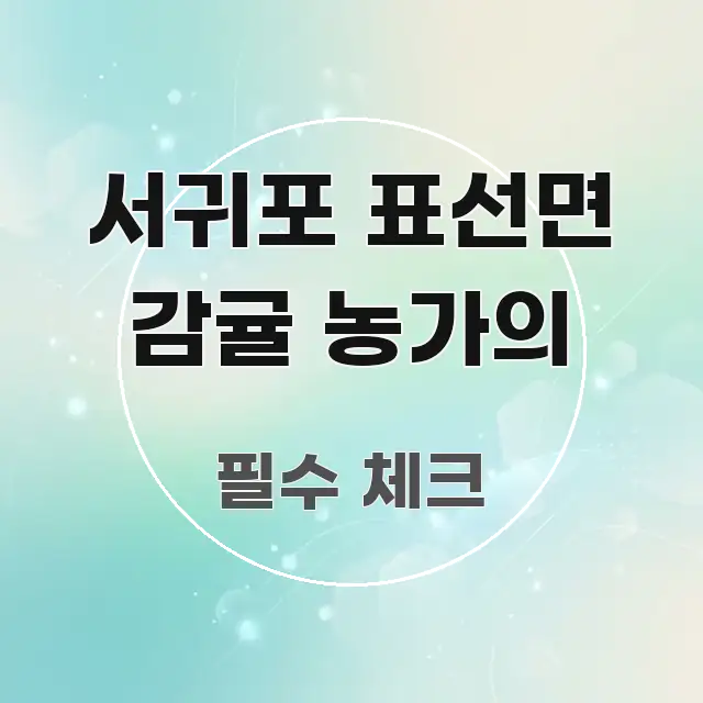 서귀포 표선면 감귤 농가의 신뢰할 수 있는 정보를 담은 정보 전달형 표지 이미지 - 글 흐름을 돕는 시각 자료