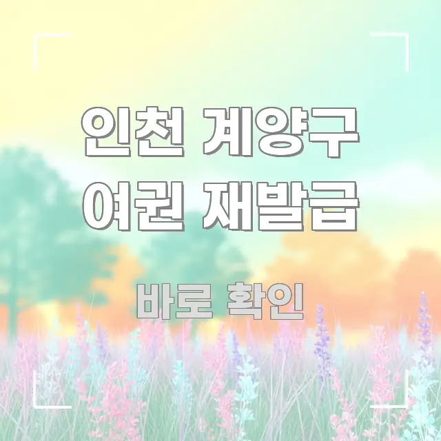 인천 계양구 여권 재발급 알기 쉽게 정리한 핵심 정보 비주얼 - 본문 내용과 연관된 이미지