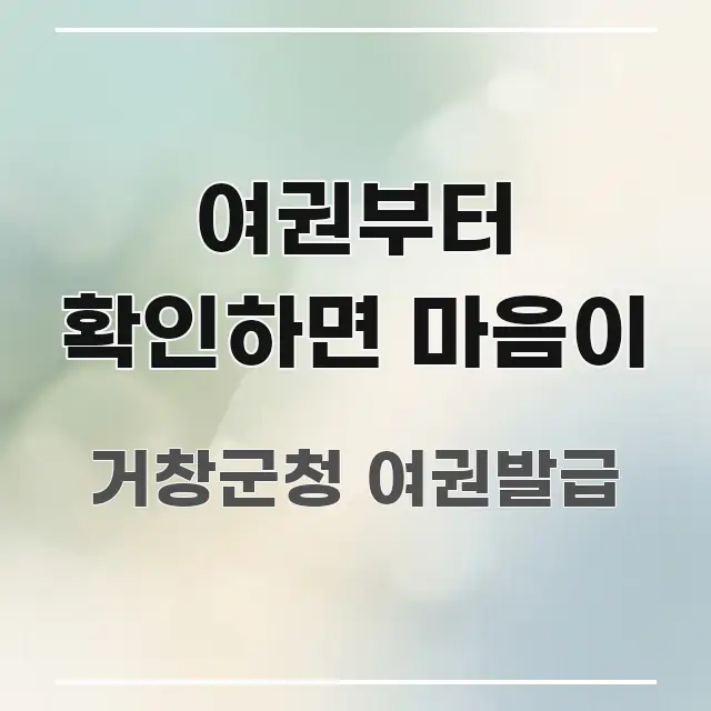 여권부터 확인하면 마음이 핵심만 담은 깔끔한 인포그래픽 표지