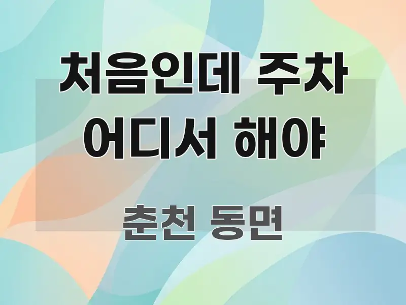 처음인데 주차 어디서 해야 검증된 정보로 구성된 텍스트형 카드뉴스 표지 이미지 - 내용 요약을 위한 이미지