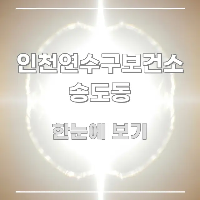 인천연수구보건소 송도동 스마트하게 정리된 정보 요약 포스터 - 가독성을 높이는 이미지