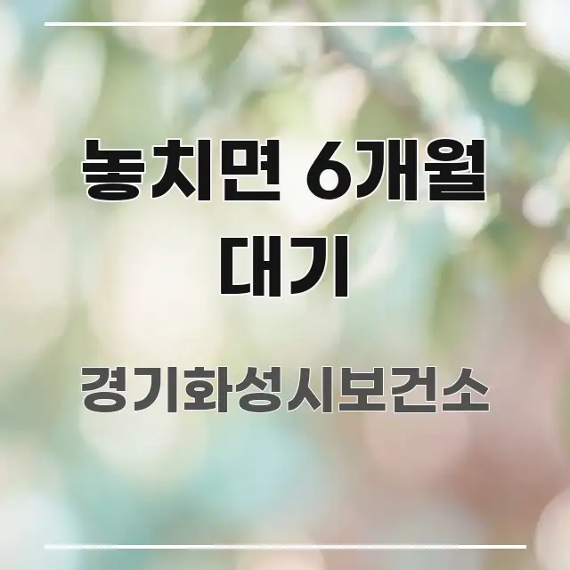놓치면 6개월 대기 핵심 요약 놓치면 6개월 대기 한눈에 들어오는 심플 타이포그래피 표지 - 가독성을 높이는 이미지