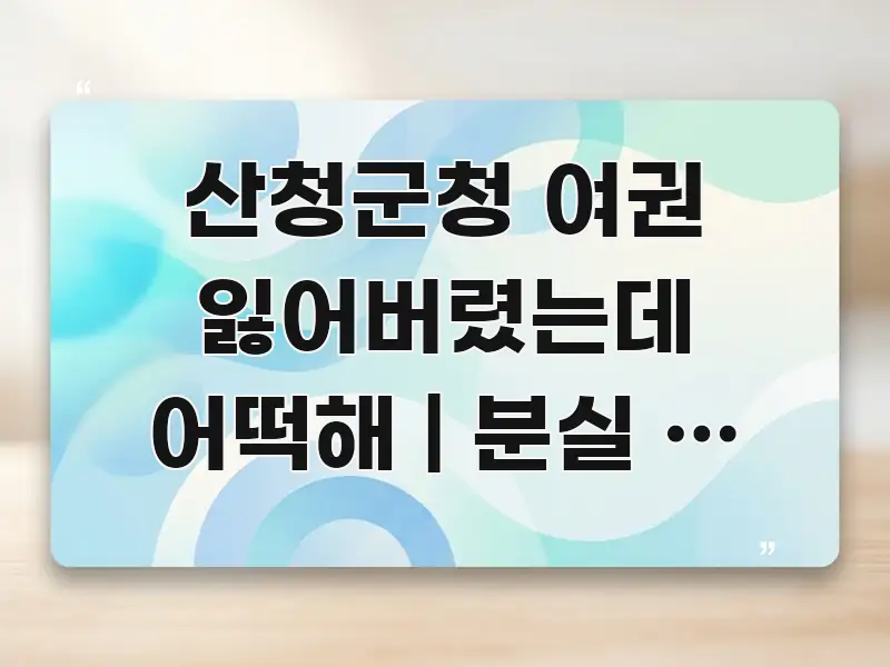 산청군청 여권 잃어버렸는데 어떡해 | 분실 후 처음 바로 활용 가능한 모던 카드뉴스 디자인